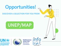 Job openings from UNEP MAP!