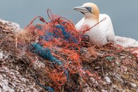 New guidelines for a common approach to tackle marine litter