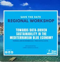 Towards a Data-Driven Sustainability of the Mediterranean Blue Economy