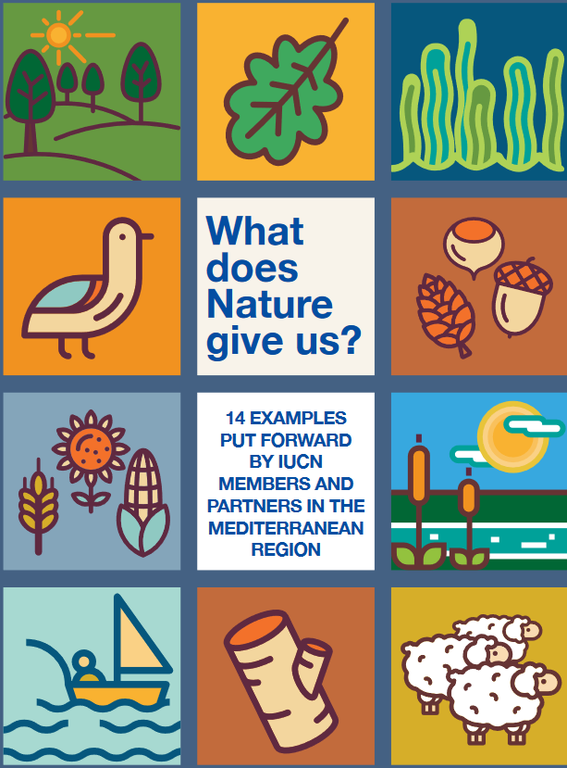 "Towards Nature-based Solutions in the Mediterranean": the new booklet of the IUCN