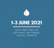 OVERVIEW OF THE SCP/RAC NATIONAL FOCAL POINTS MEETING
