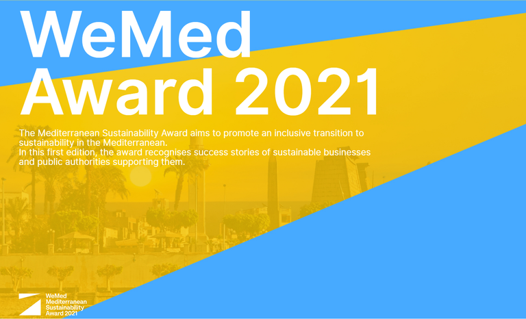 WEMED AWARD: MEET THE JURY THAT WILL EVALUATE THE APPLICATIONS