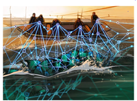 FAO Publication - Blockchain application in seafood value chains
