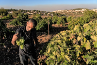 Communiqué de presse WES - Atelier WES pour les associations pilotes d'agriculteurs palestiniens sur la gestion et les pratiques optimales d'irrigation