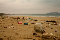 Communiqué de presse WES:  Les meilleures pratiques en matière de réduction des déchets en Méditerranée