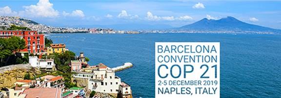 21e Réunion des Parties contractantes à la Convention de Barcelone (COP21)