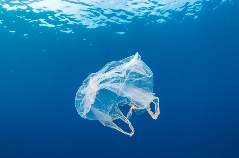 LE SCP / RAC A FOURNI UN SOUTIEN PERSONNALISÉ À CINQ PAYS MÉDITERRANÉENS DANS LA LUTTE CONTRE LES ARTICLES EN PLASTIQUE À USAGE UNIQUE