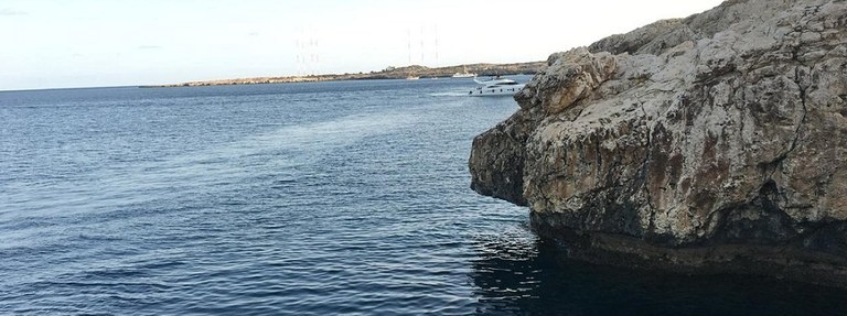 UN SÉMINAIRE SUR LES AIRES MARINES PARTICULIÈREMENT SENSIBLES MET EN ÉVIDENCE DES OPPORTUNITÉS SUPPLÉMENTAIRES POUR LA CONSERVATION DE LA BIODIVERSITÉ EN MÉDITERRANÉE