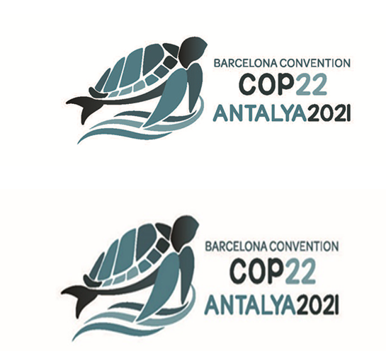 LES POINTS IMPORTANTS DE L'ORDRE DU JOUR DE LA COP 22