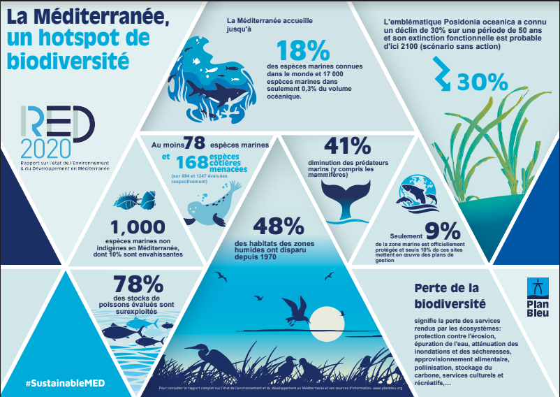 InfographieBiodiversité_FR.PNG
