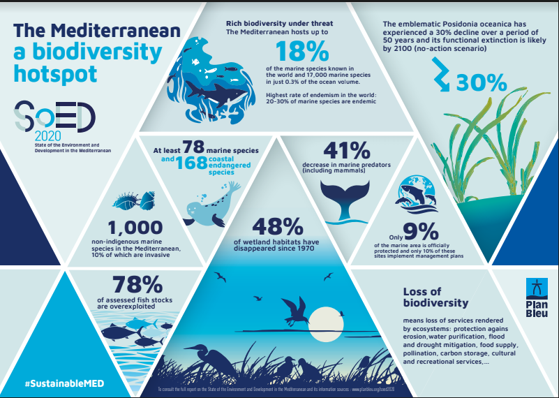 InfographieBiodiversity_EN.PNG