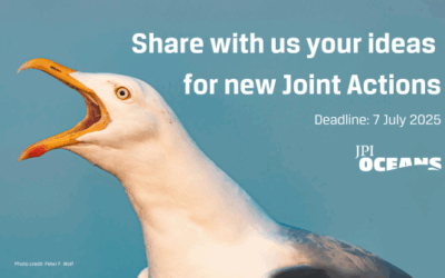 JPI Oceans: opportunity for New Ideas for Joint Actions