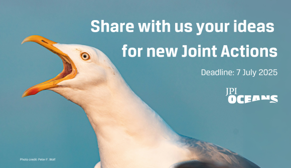JPI Oceans: opportunity for New Ideas for Joint Actions