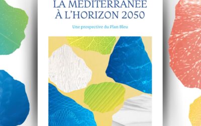 Plan Bleu announces the New MED2050 Report