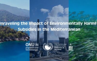 Presentation of the new Plan Bleu’s Report