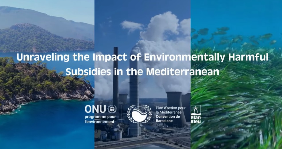 Presentation of the new Plan Bleu’s Report