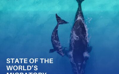 State of the World’s Migratory Species Report