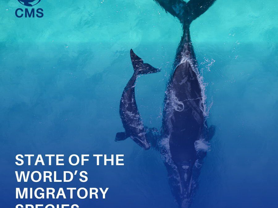 State of the World’s Migratory Species Report