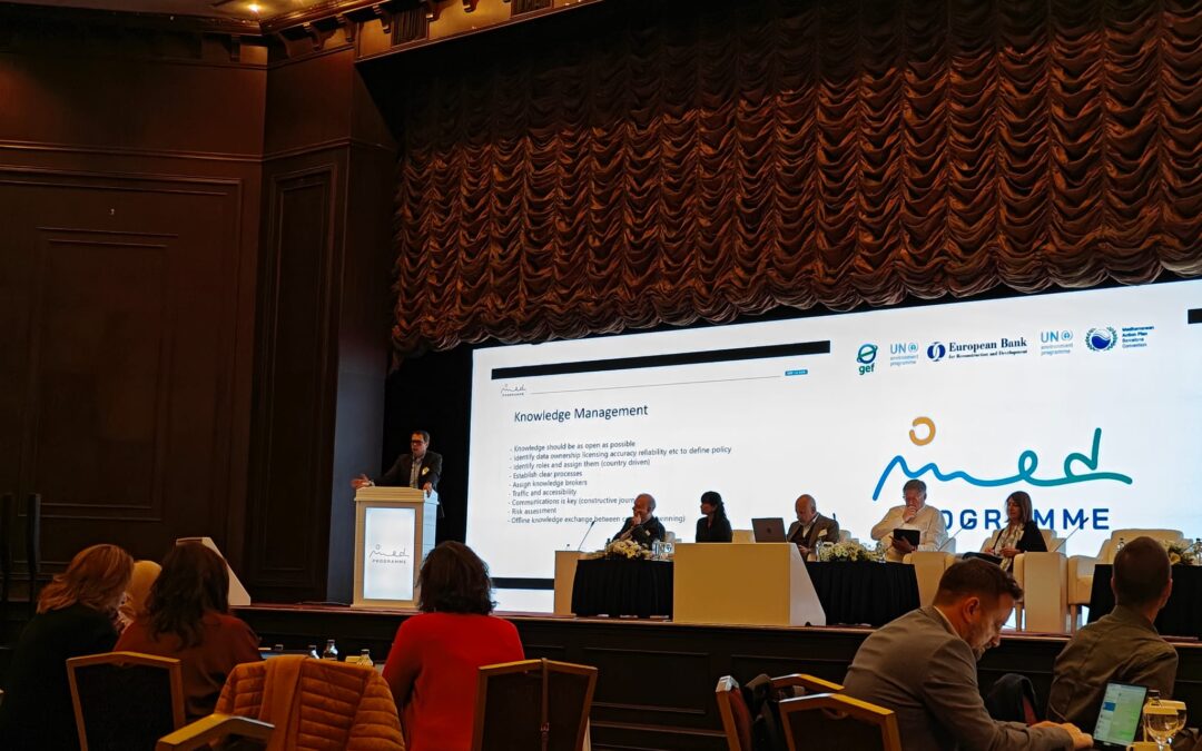 INFO/RAC at the Third Annual Stocktaking Meeting of the MedProgramme
