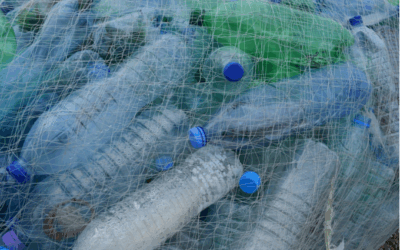EUBeachCleanup 2024: Working together against marine litter