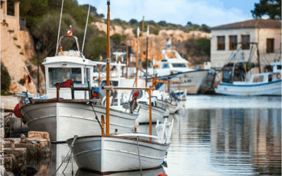 EU fishing fleet sees improved profitability but structural challenges remain