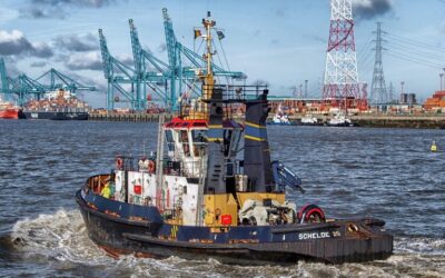 Proposal for an initial series of fishing opportunities for 2025 in the Mediterranean and Black Seas