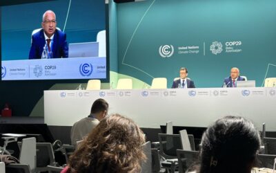 Two special reports presented at COP29