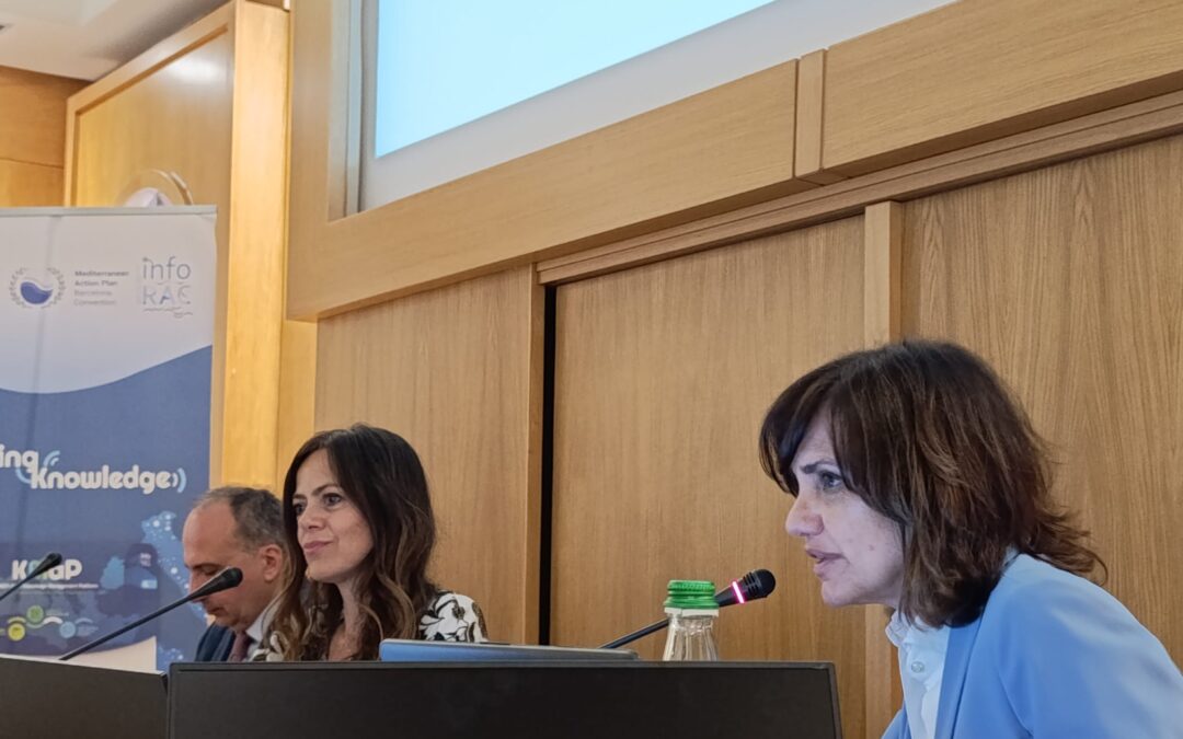 The 4th INFO/RAC National Focal Points Meeting