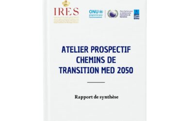 Summary Report: Foresight Workshop – MED 2050 Transition Pathways