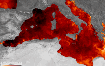 Temperature Record in the Mediterranean Sea
