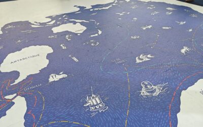 Ocean Conference 2025: global action to protect the oceans