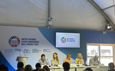 Mediterranean Day: the ministerial declaration
