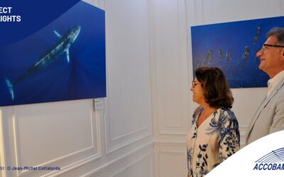 Wild Mediterranean: Cetaceans in Images, Protection in Action