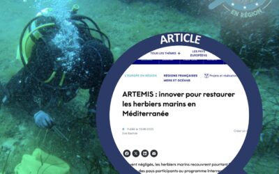 ARTEMIS: how to restore Posidonia meadows