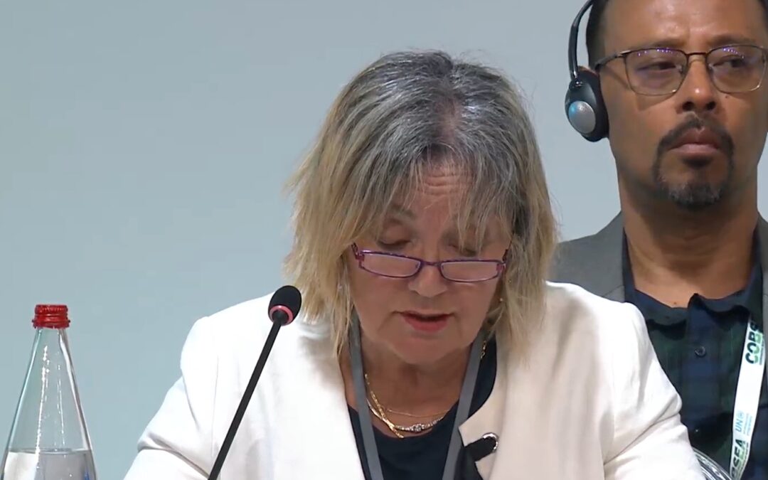 Tatjana Hema and the Importance of Regional Cooperation