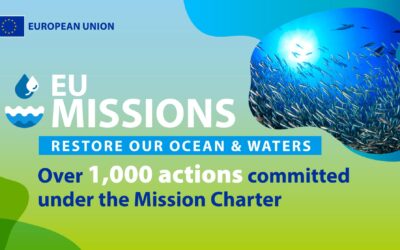 Over 1,000 initiatives to protect and restore marine