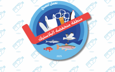 MedWaves: Low Plastic Zone Expands to Tunisia and Lebanon