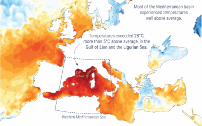 Europe: extreme heatwaves