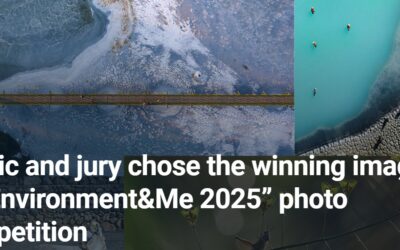 Here are the winners of “Environment&Me 2025”