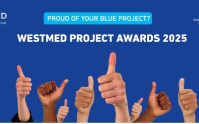 WestMED Project Awards are back