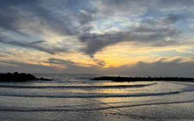 New Research on Marine Heatwaves in the Mediterranean