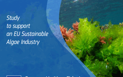 Algae: a new European Commission study reveals their potential