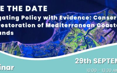 Coastal Wetlands in the Mediterranean: an online expert webinar