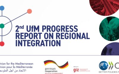 The UfM’s 2025 Progress Report: monitoring and progress