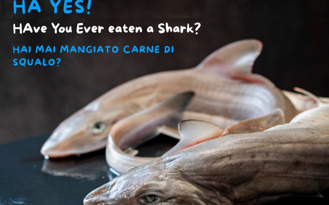 An initiative to reduce shark consumption.
