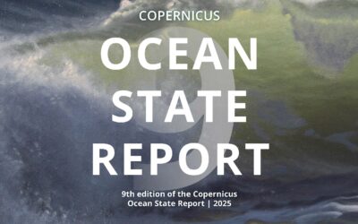 Oceans increasingly at risk