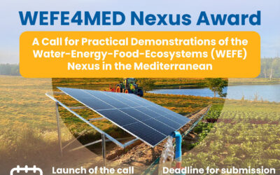 A recognition for WEFE Nexus Solutions