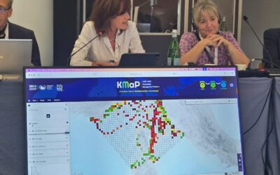 INFO/RAC at MOP10 of the Pelagos Agreement