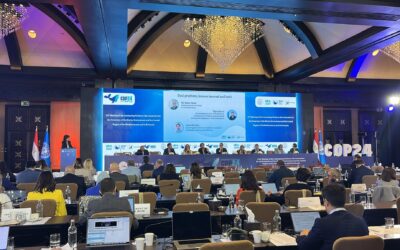 Mediterranean and Its Coasts Take Center Stage at COP24 in Cairo