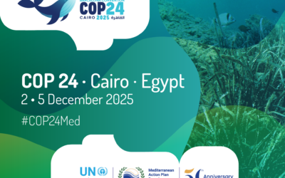 Tomorrow is the day of COP24!